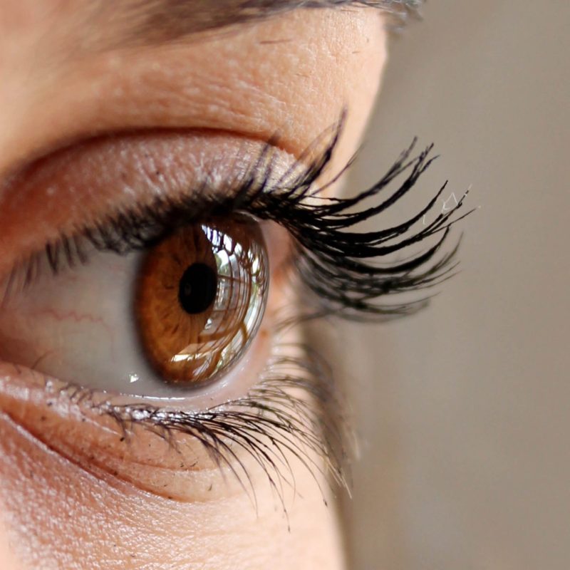 specsavers_elearning